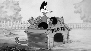 Mickey's Kangaroo photo
