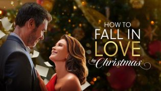 How to Fall in Love by Christmas photo