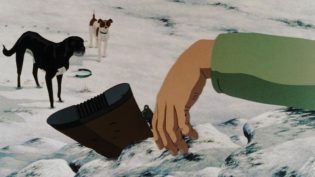 疫病犬 photo