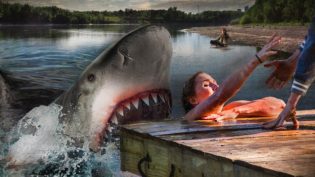Ozark Sharks photo