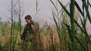 座头市与独臂刀 photo