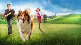 Lassie-冒险之旅 photo