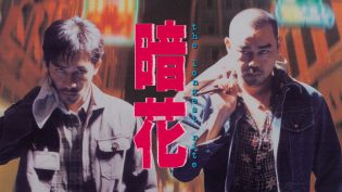 暗花 photo