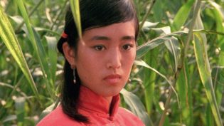 红高粱 photo