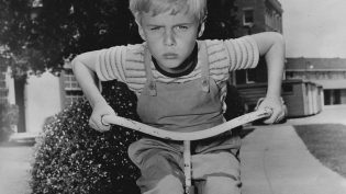 Dennis the Menace photo