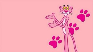 The All New Pink Panther Show photo