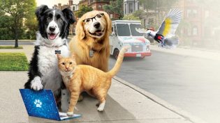 猫狗大战3：爪爪集结！ photo