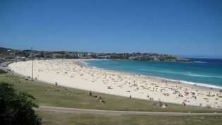 Bondi Rescue photo