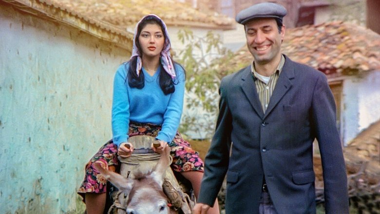 Tokatçı photo