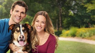 Love at First Bark photo