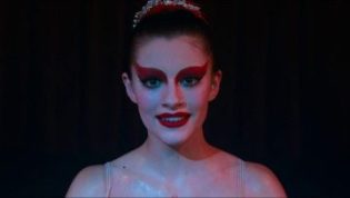 天堂鸟 photo