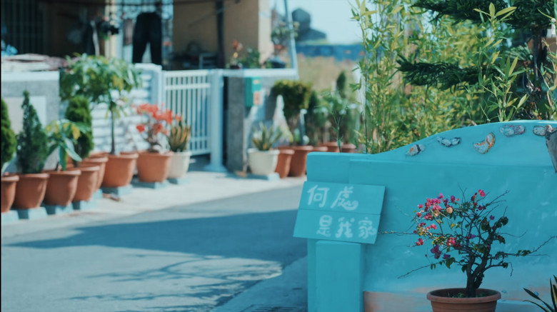 向流星许愿的我们 photo