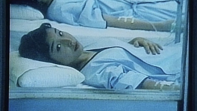 女虐 photo