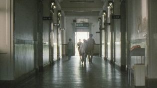 萌之朱雀 photo