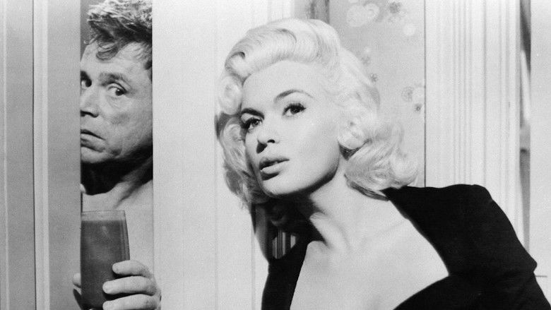 春风得意 photo