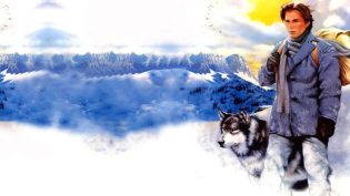 雪地黄金犬 photo