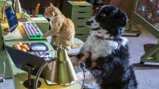猫狗大战3：爪爪集结！ photo