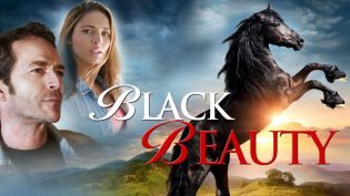 Black Beauty photo