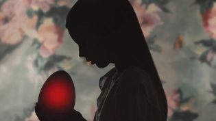 孵化 photo
