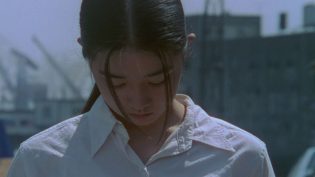 燕尾蝶 photo
