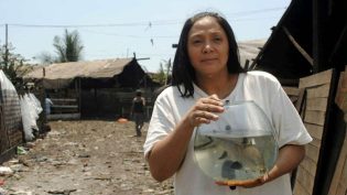 Isda photo