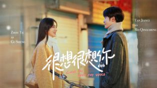 很想很想你 photo