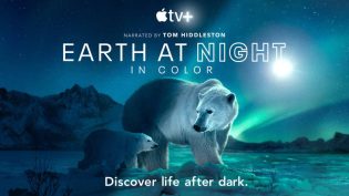 Earth at Night in Colour photo