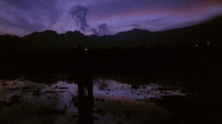 柳暗花明 photo