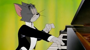猫儿协奏曲 photo