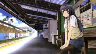 青春猪头少年不会梦到兔女郎学姐 photo