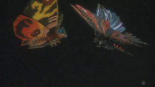 哥斯拉vs魔斯拉 photo