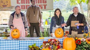 Harvest Love photo
