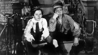 Little Lord Fauntleroy photo