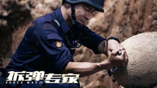 拆弹专家 photo
