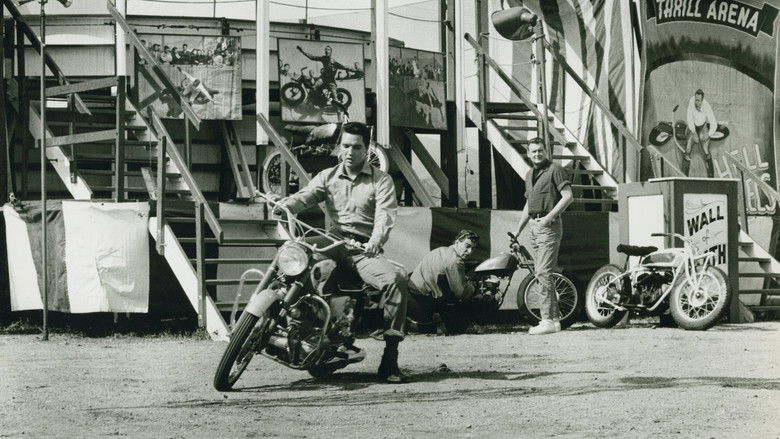 流浪歌手 photo