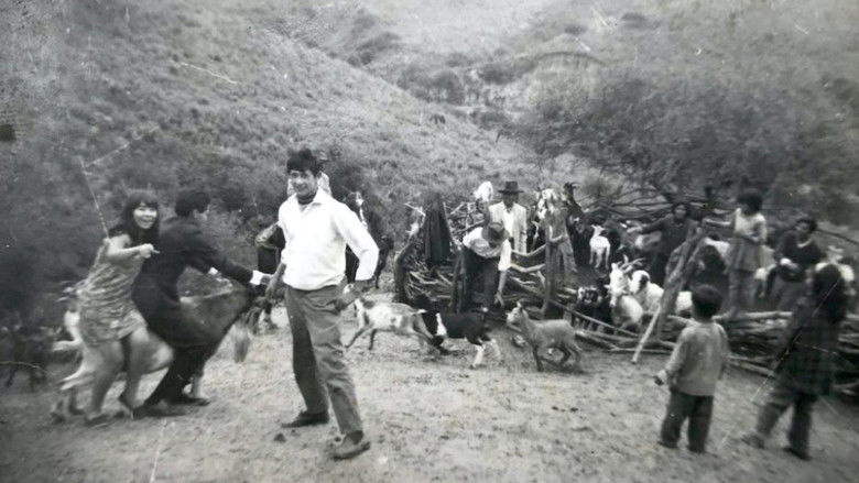 我们的土地 photo