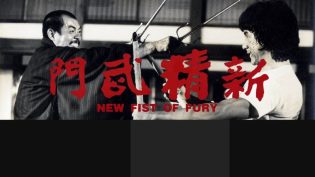 新精武门 photo