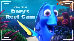 Dory's Reef Cam photo