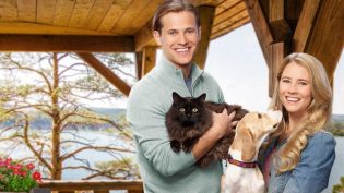 Like Cats & Dogs photo