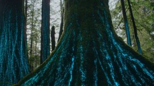 我们的生物世界 photo