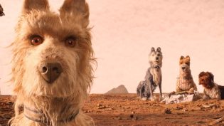 犬之岛 photo