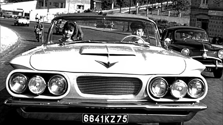 美国美人 photo