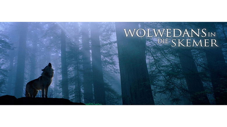 Wolwedans In Die Skemer photo