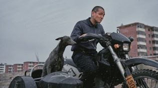 狗阵 photo