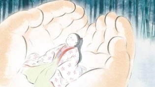 辉夜姬物语 photo