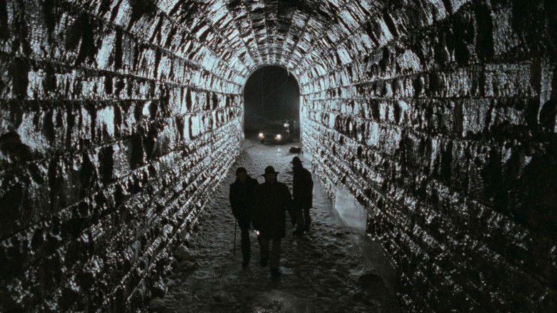 死亡地带 photo
