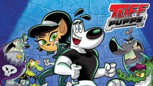 狗狗军团 photo