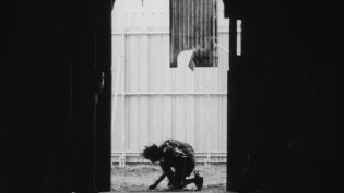 铁男1：金属兽 photo