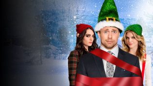 Santa's Little Helper photo