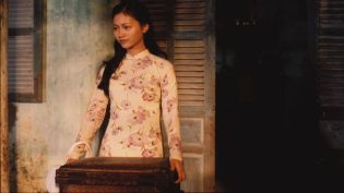 沉静的美国人 photo